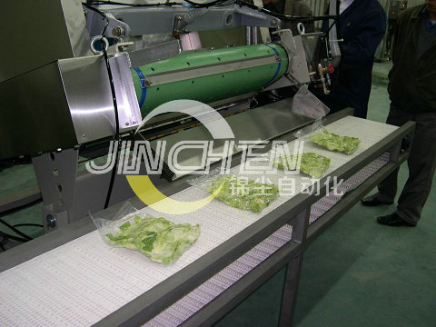 雙層塑鋼（模塊）網(wǎng)帶輸送機(jī)